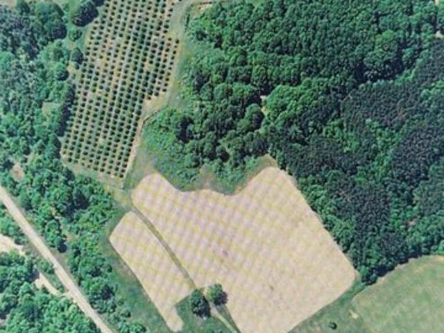 Land for sale in Beulah, Michigan