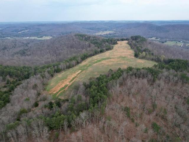 Land for sale in Monticello, Kentucky