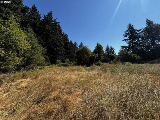 Land for sale in White Salmon, Washington