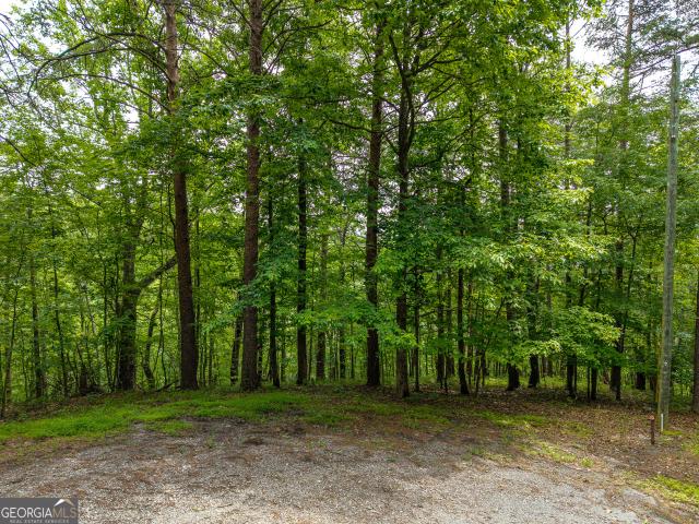 Land for sale in Gordon, Georgia