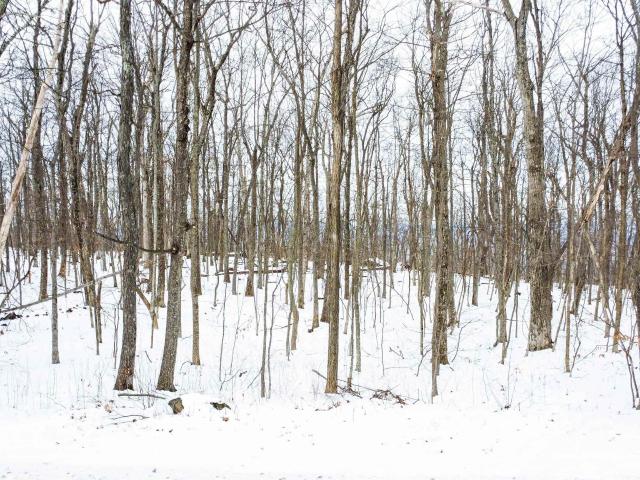 Land for sale in Wintergreen, Nelson County