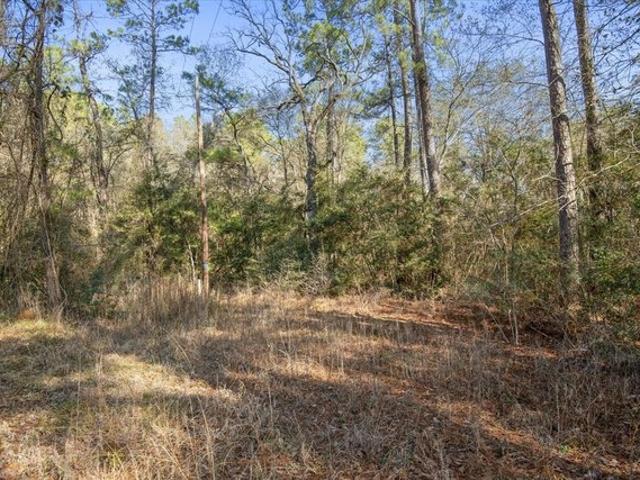 Land for sale in Plantersville, Grimes County