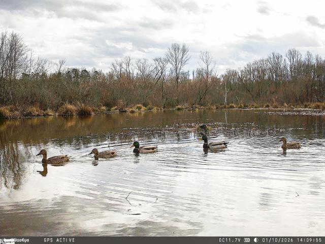 Land for sale in Waterloo, South Carolina
