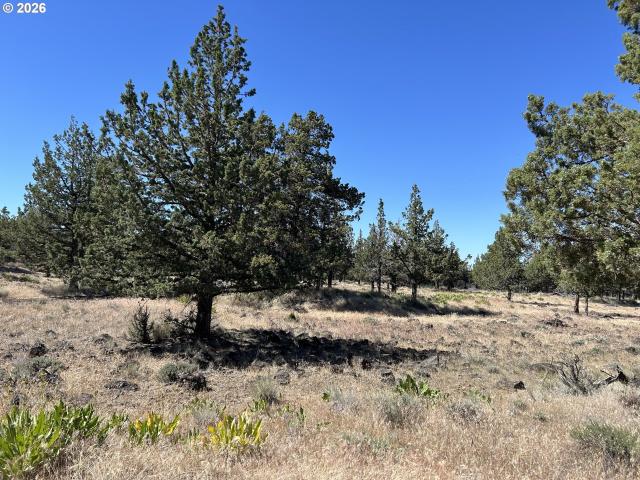Land for sale in Oregonia