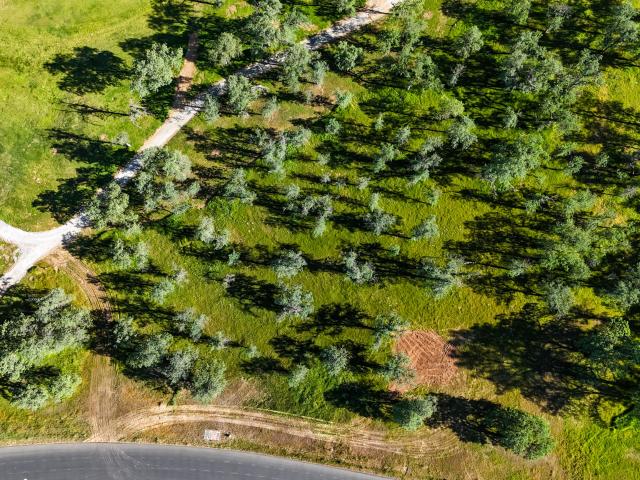 Land for sale in Shasta, California