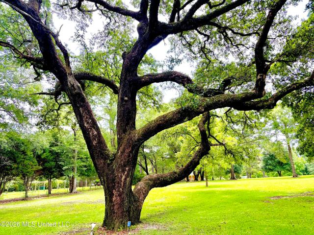 House for sale in Pass Christian, Mississippi