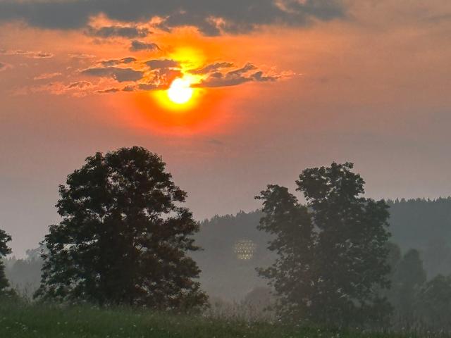Farm for sale in Washington, Wilkes County