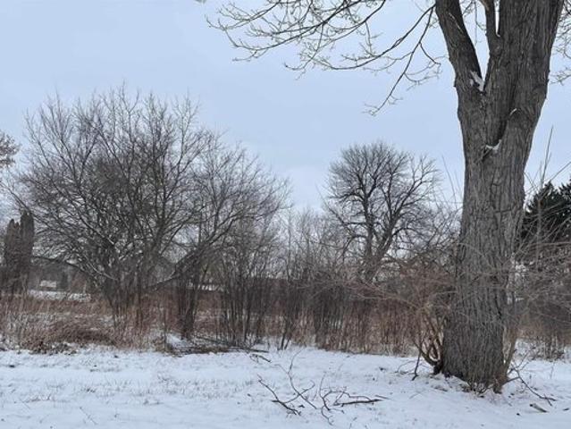 Land for sale in Carrollton, Michigan