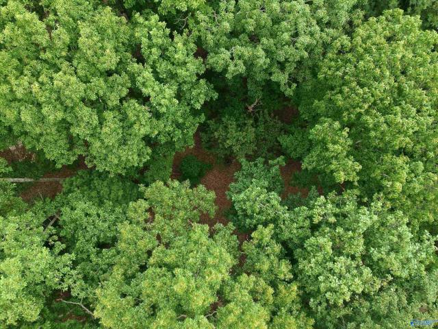 Land for sale in Huntsville, Madison County