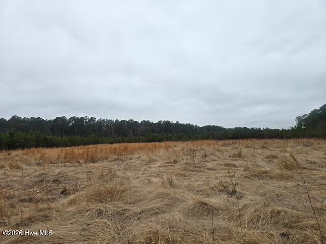 Land for sale in Robersonville, North Carolina