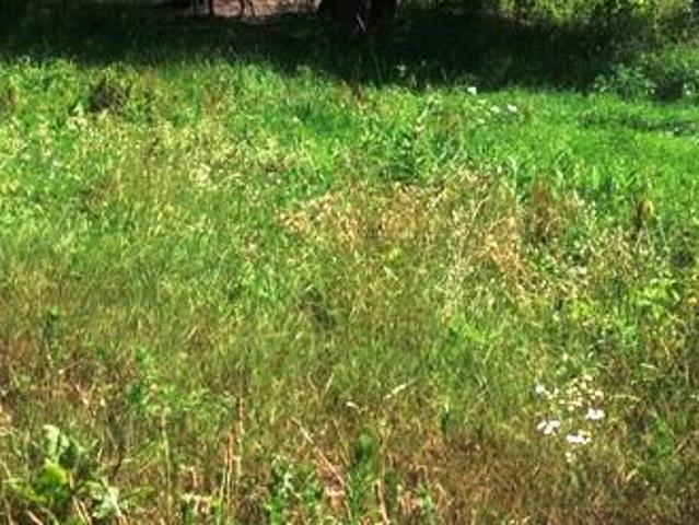 Land for sale in Porter, Indiana