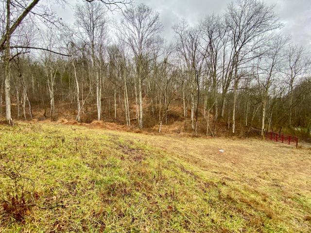 Land for sale in Manchester, Ohio