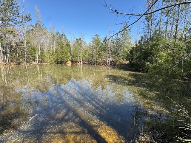 Land for sale in Gray Court, South Carolina
