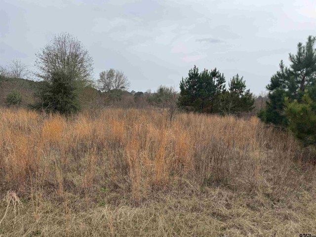Land for sale in Smith, Texas