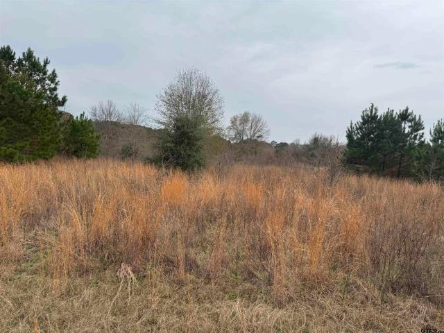 Land for sale in Bullard, Texas
