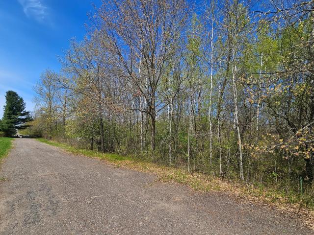 Land for sale in Foreston, Minnesota