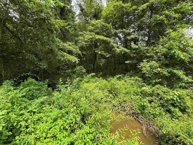 Land for sale in Linton, Indiana