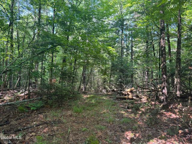 Land for sale in Bakers Mills, New York