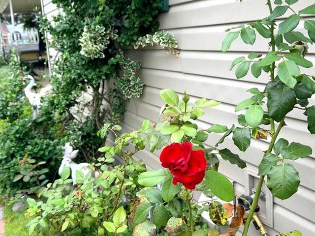 House for sale in Vineland, New Jersey