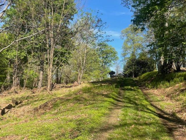 Land for sale in West Virginia