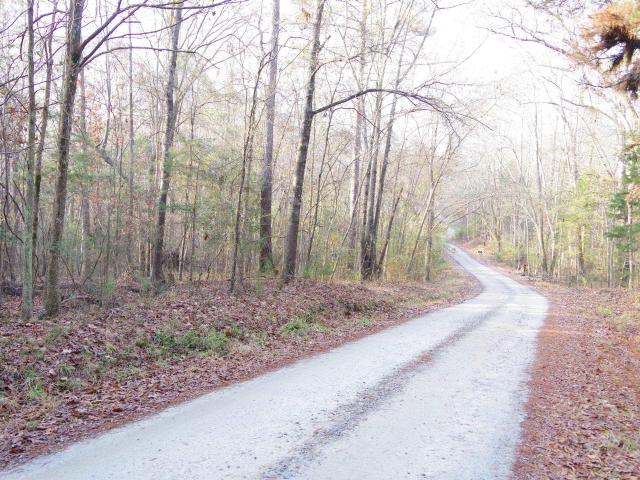 Land for sale in Little Mountain, South Carolina