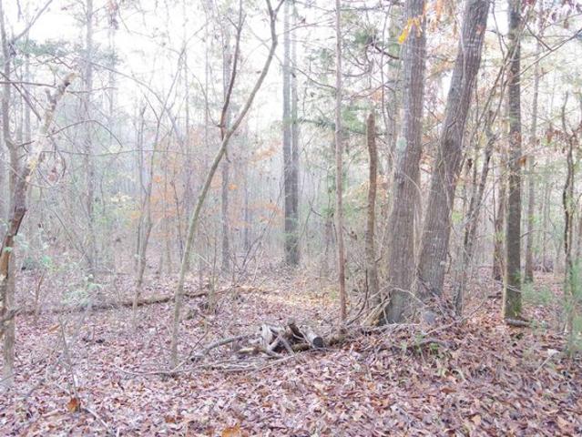 Land for sale in Little Mountain, South Carolina