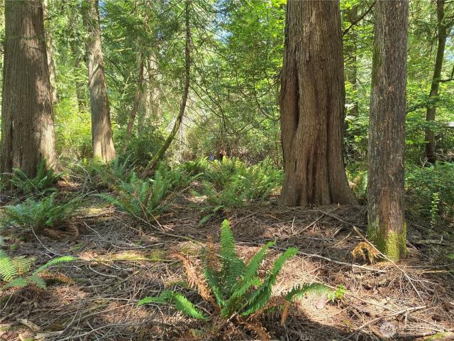 Land for sale in Shelton, Washington