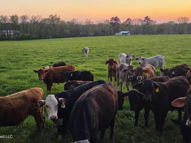 Farm for sale in Silver Creek, Lawrence County