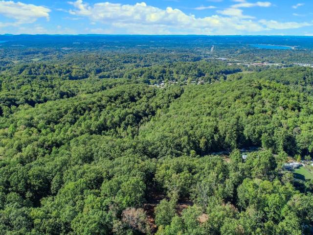 Land for sale in Newport, East Tennessee
