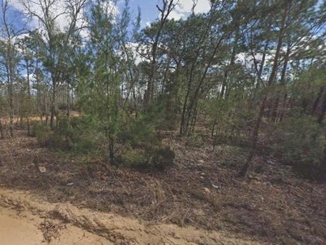 Land for sale in Interlachen, Putnam County