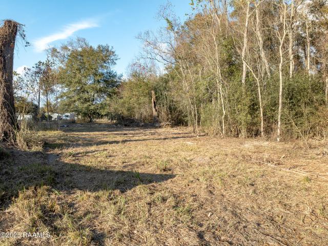 Land for sale in Elton, Louisiana
