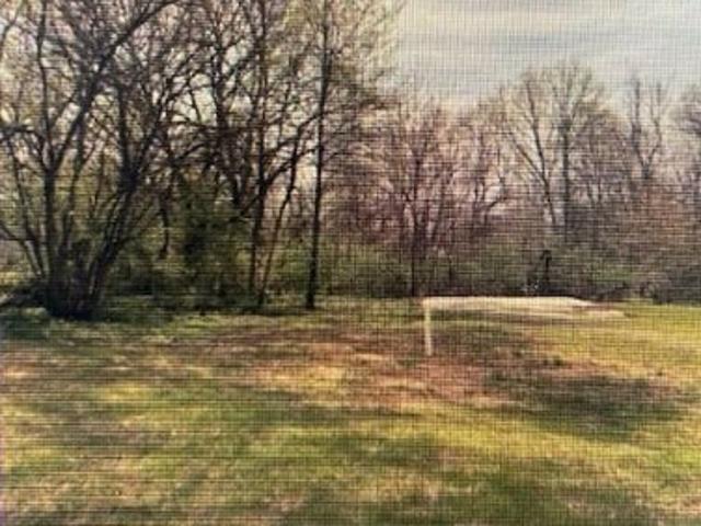 Land for sale in Leesburg, Ohio
