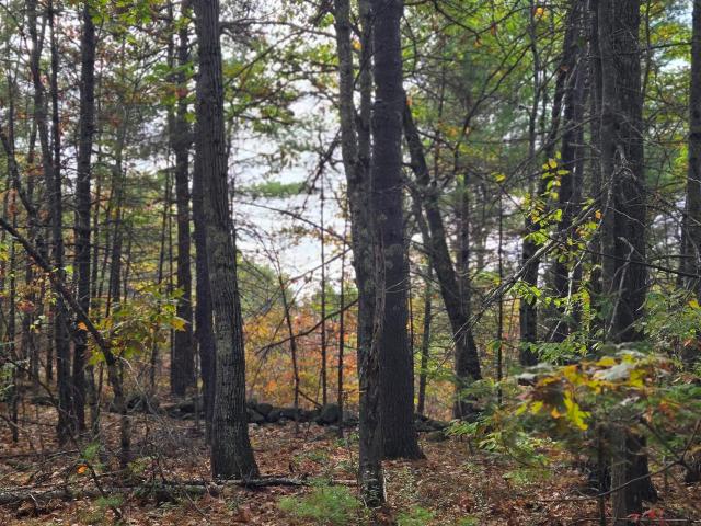 Land for sale in Brownfield, Maine