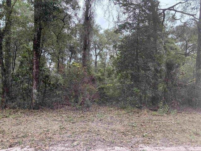 Land for sale in Crawfordville, Florida