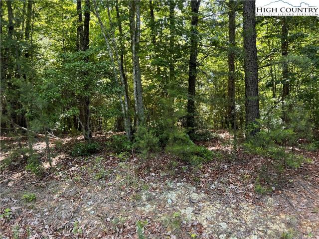 Land for sale in North Carolina