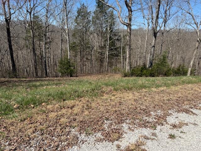 Land for sale in Monticello, Kentucky