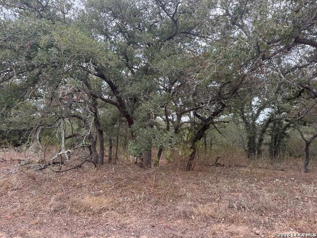 Land for sale in Stockdale, Wilson County