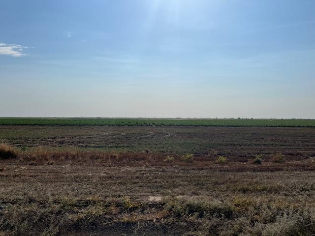 Land for sale in Idalou, Texas