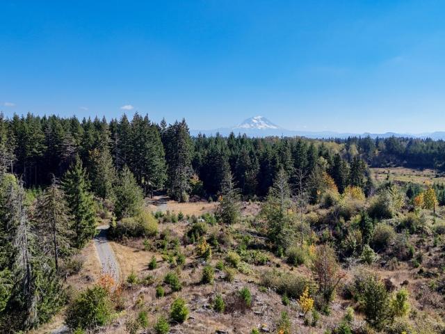 Land for sale in Rainier, Thurston County