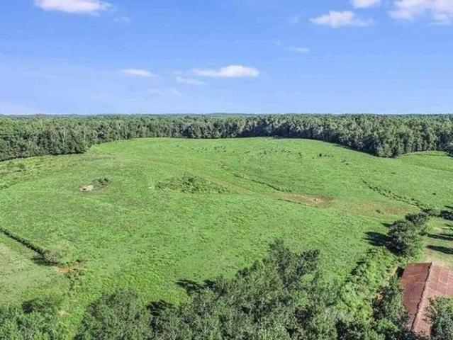 Land for sale in Mount Airy, Habersham County