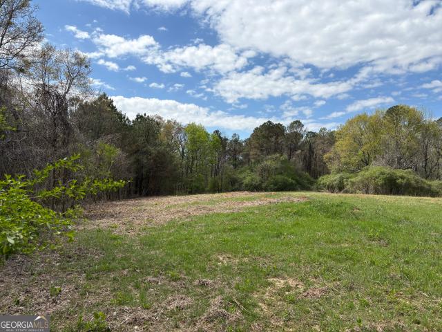 Land for sale in Lyerly, Georgia