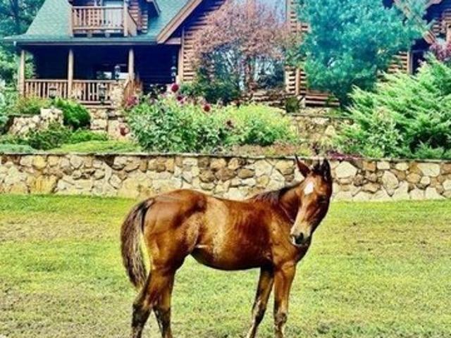 House for sale in Kentucky