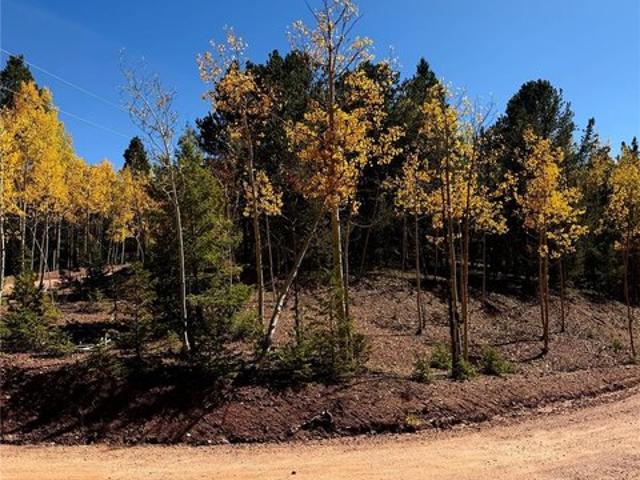 Land for sale in Divide, Teller County