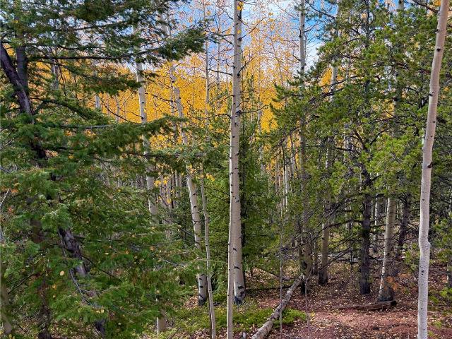 Land for sale in Midland, Divide