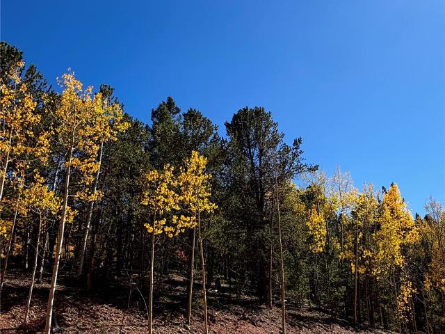 Land for sale in Midland, Divide