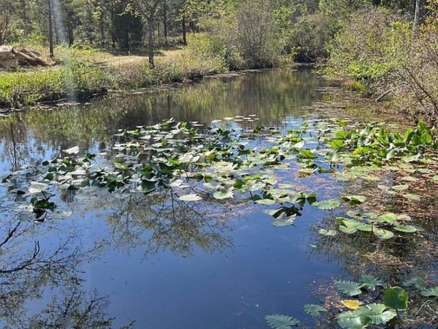 House for sale in Pelion, South Carolina