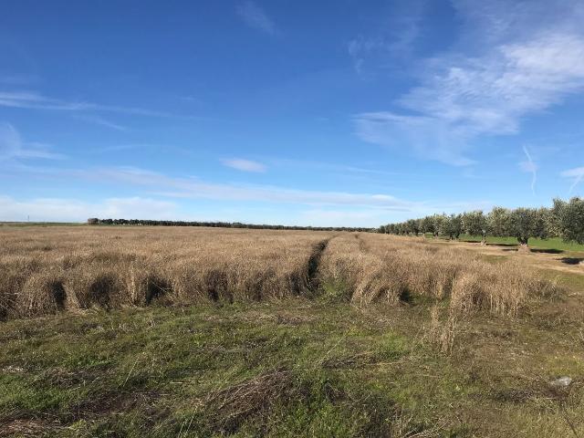 Terreno en venta en Toledo, Castilla-La Mancha