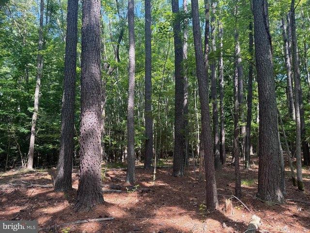 Land for sale in Solomons, Maryland