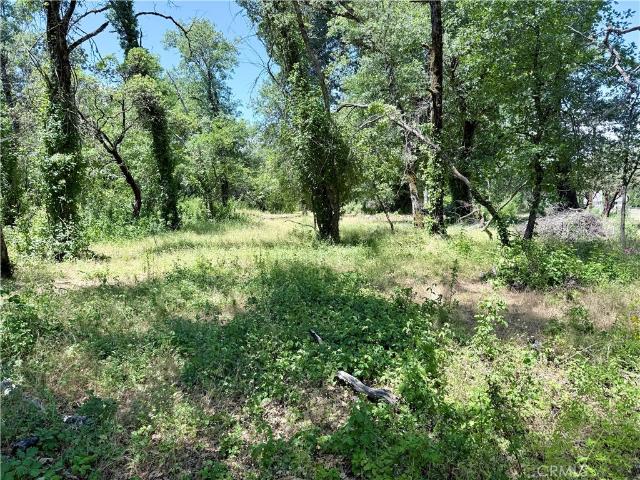 Land for sale in Lake, California