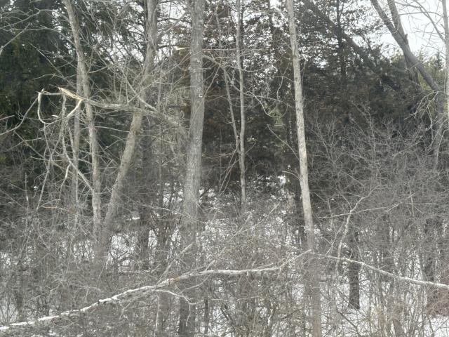 Land for sale in Mequon, Wisconsin